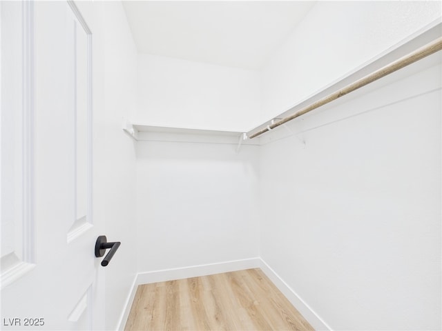 spacious closet with light wood-style flooring