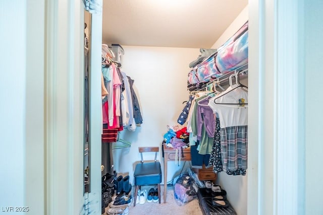 spacious closet with carpet floors