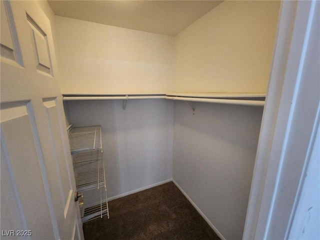 walk in closet with dark colored carpet