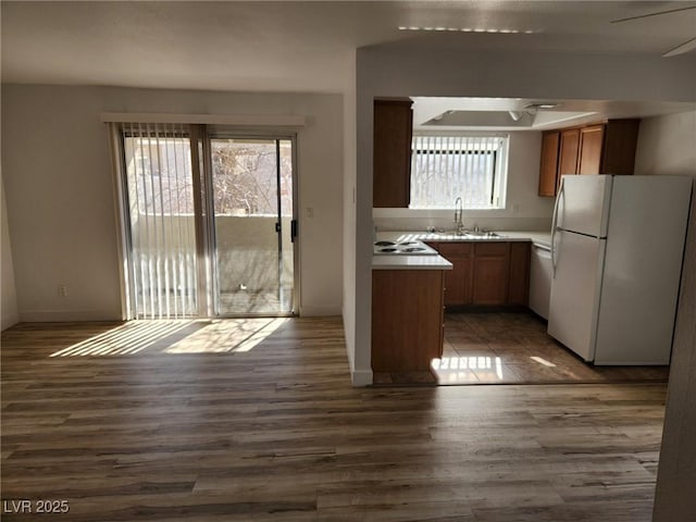 kitchen with freestanding refrigerator, dark wood-style floors, light countertops, brown cabinets, and a sink