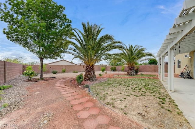 view of yard with a fenced backyard and a patio