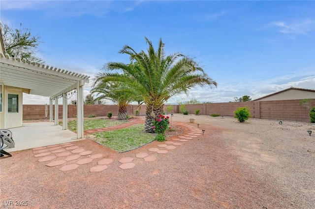 view of yard featuring a fenced backyard and a patio area