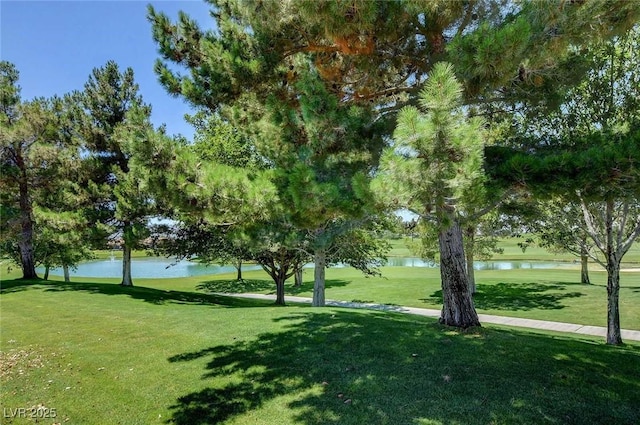 view of home's community featuring a lawn and a water view