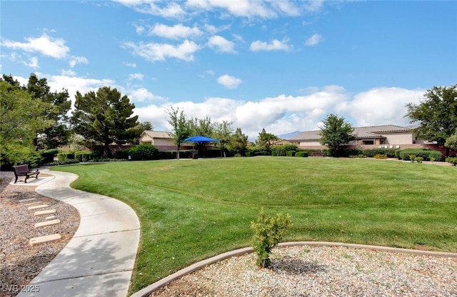 surrounding community featuring a yard