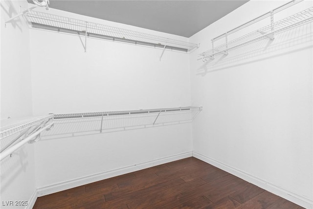 walk in closet featuring dark wood-style floors