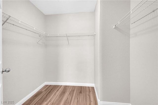 walk in closet with wood finished floors