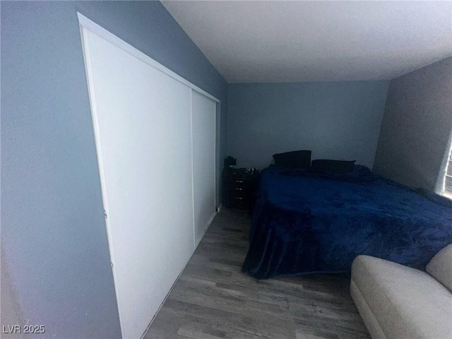 bedroom featuring wood finished floors and a closet