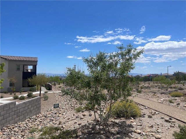 11593 Cedar Shore Ave, Las Vegas, NV 89138 - photo 5