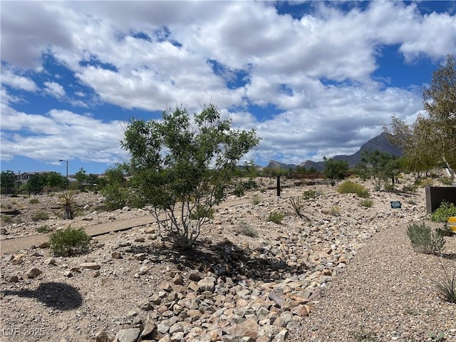 11593 Cedar Shore Ave, Las Vegas, NV 89138 - photo 9