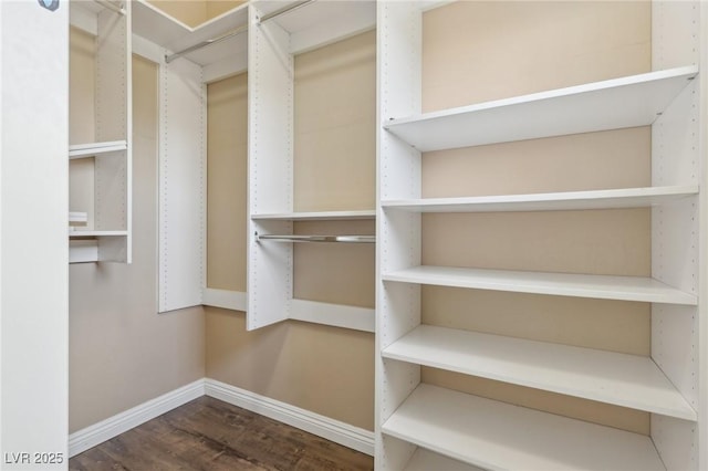 walk in closet with wood finished floors
