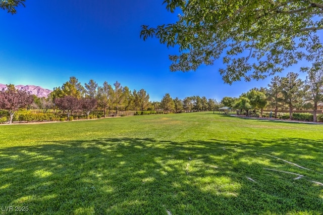 view of property's community with a yard