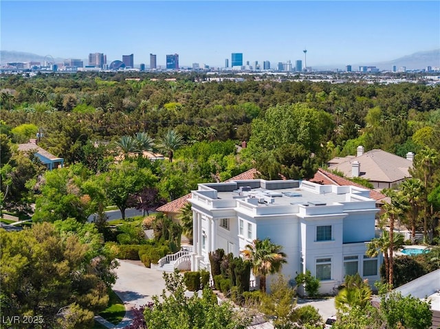 aerial view with a view of city
