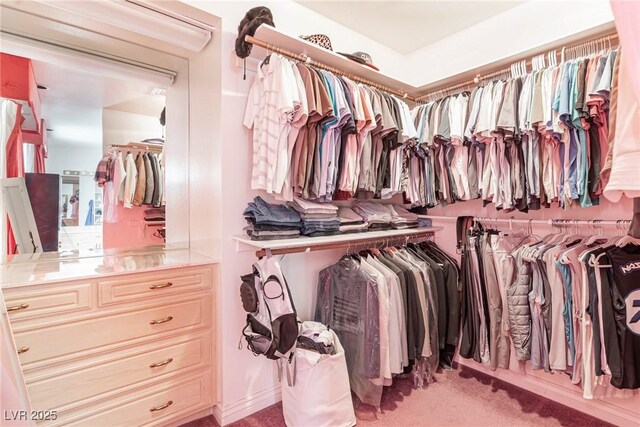 walk in closet with carpet floors