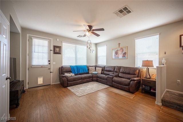 living room with visible vents, light wood-style flooring, ceiling fan, and a wealth of natural light