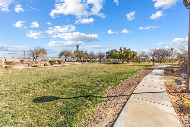 view of community featuring a yard