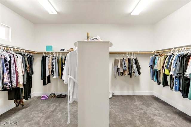 walk in closet with carpet flooring