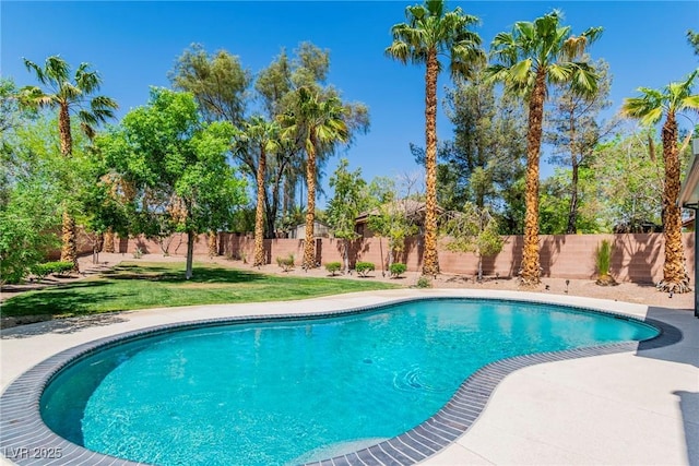 view of swimming pool with a fenced in pool, a yard, and a fenced backyard