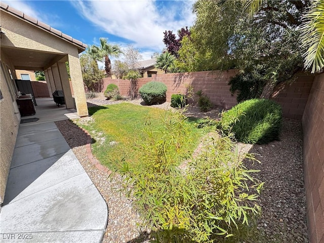 view of yard with a fenced backyard and a patio
