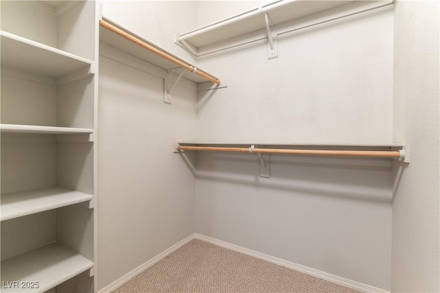 spacious closet with carpet flooring