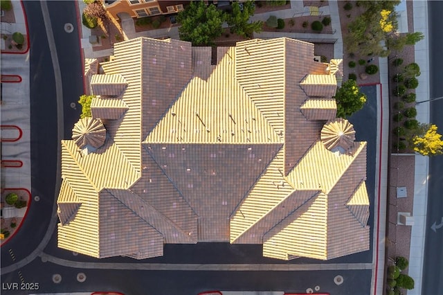 drone / aerial view