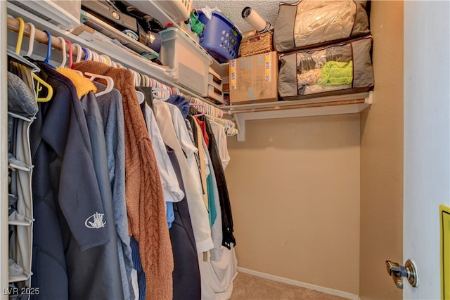 611 Spyglass Ln, Las Vegas, NV 89107 - spacious closet with carpet floors