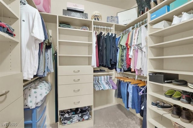 view of spacious closet