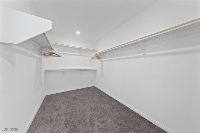 595 Beverly Pine Pl, Henderson, NV 89011 - spacious closet with carpet floors