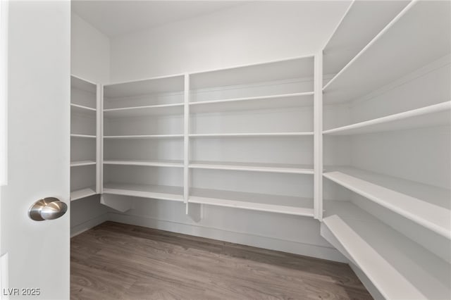 595 Beverly Pine Pl, Henderson, NV 89011 - view of pantry