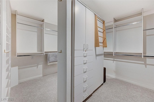 spacious closet featuring carpet