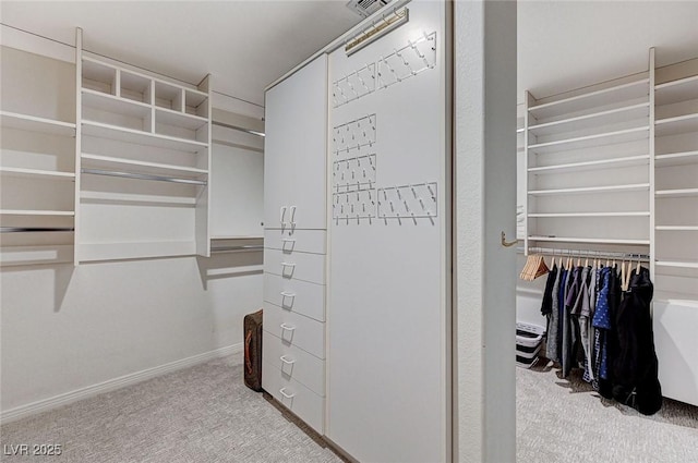 spacious closet featuring carpet flooring