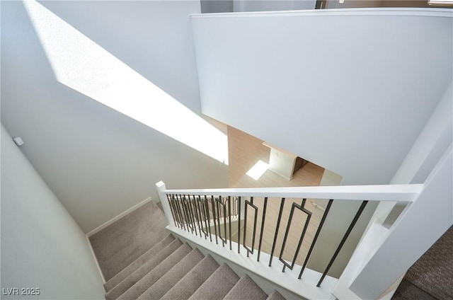 stairs with carpet floors