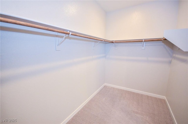 walk in closet with carpet