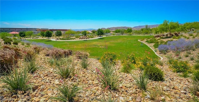 12101 Arrebol Ave, Las Vegas, NV 89138 - photo 49
