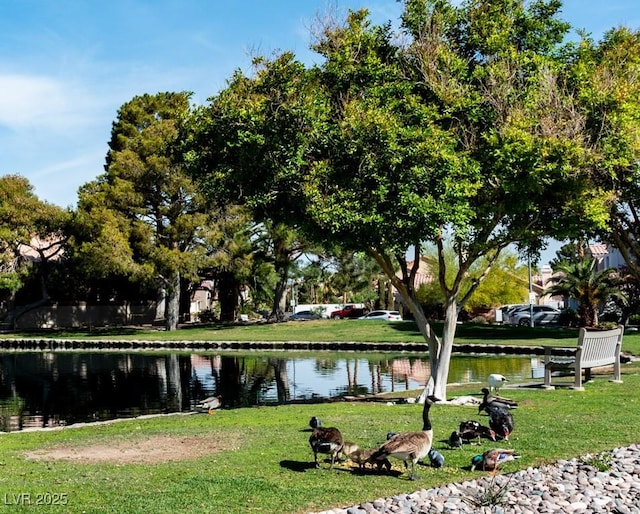 3008 Blue Fin Cir, Las Vegas, NV 89128 - surrounding community with a yard and a water view