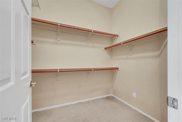 walk in closet with carpet flooring