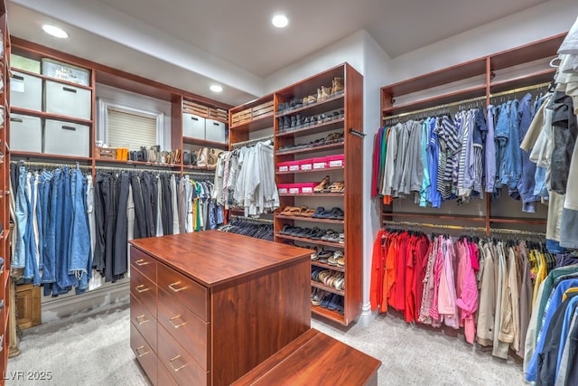 view of spacious closet
