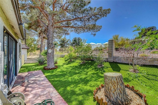 view of yard featuring a fenced backyard and a patio area