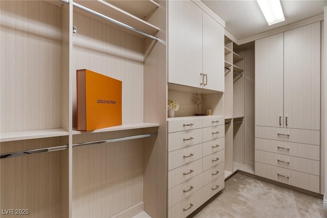 spacious closet with light colored carpet