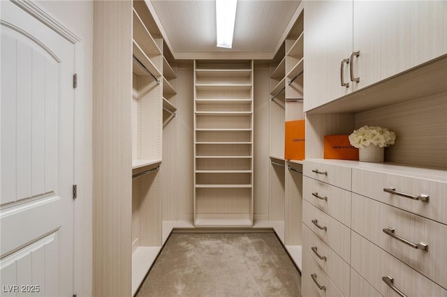 spacious closet with light carpet