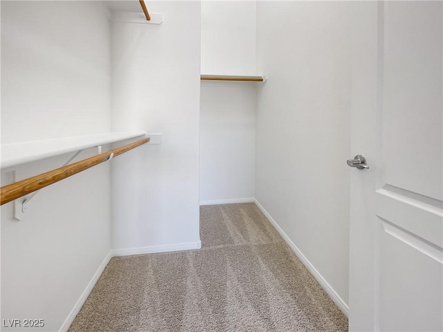 walk in closet with light carpet
