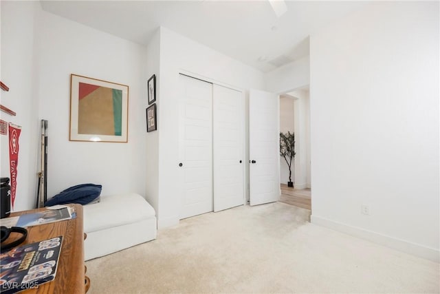 sitting room featuring carpet