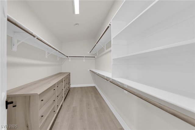 spacious closet featuring light wood-style floors