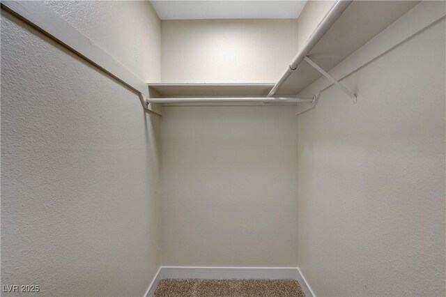 walk in closet with carpet floors