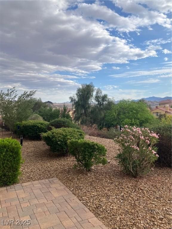 view of yard with a patio and a mountain view