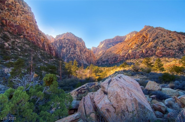 view of mountain feature