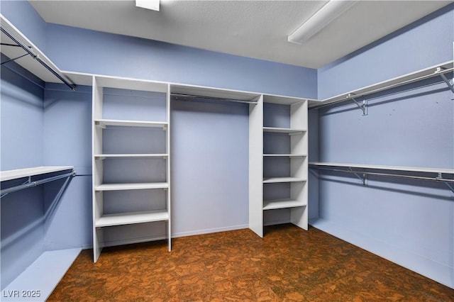 walk in closet with carpet