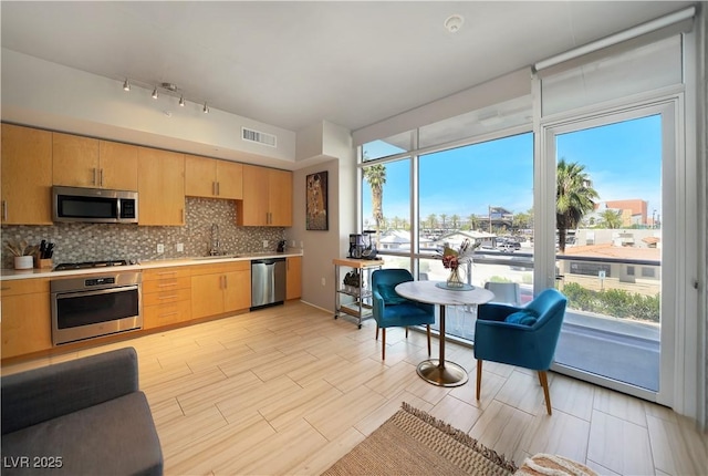 353 E Bonneville Ave Unit 215, Las Vegas, NV 89101 - kitchen featuring plenty of natural light, stainless steel appliances, a sink, and backsplash