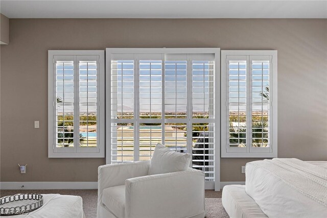 bedroom with baseboards, carpet, and multiple windows