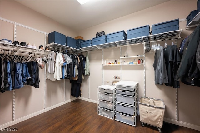 spacious closet with dark wood-type flooring