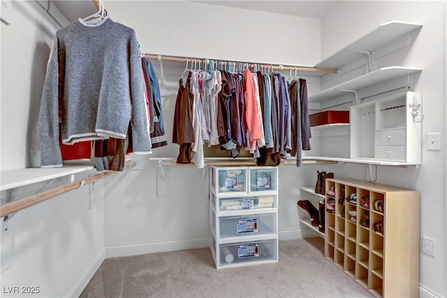 walk in closet featuring carpet floors
